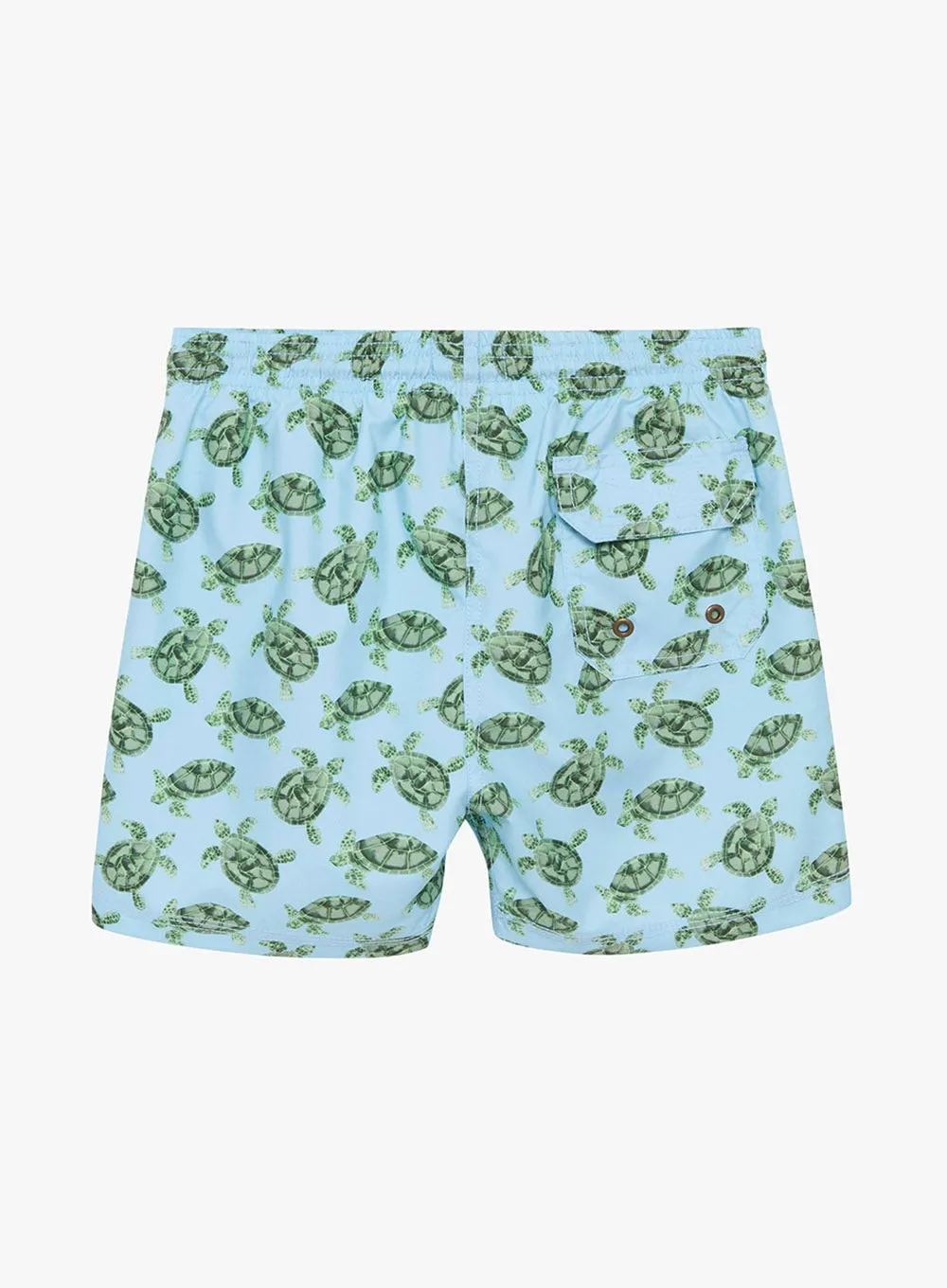 Boys Swimshorts in Turtle