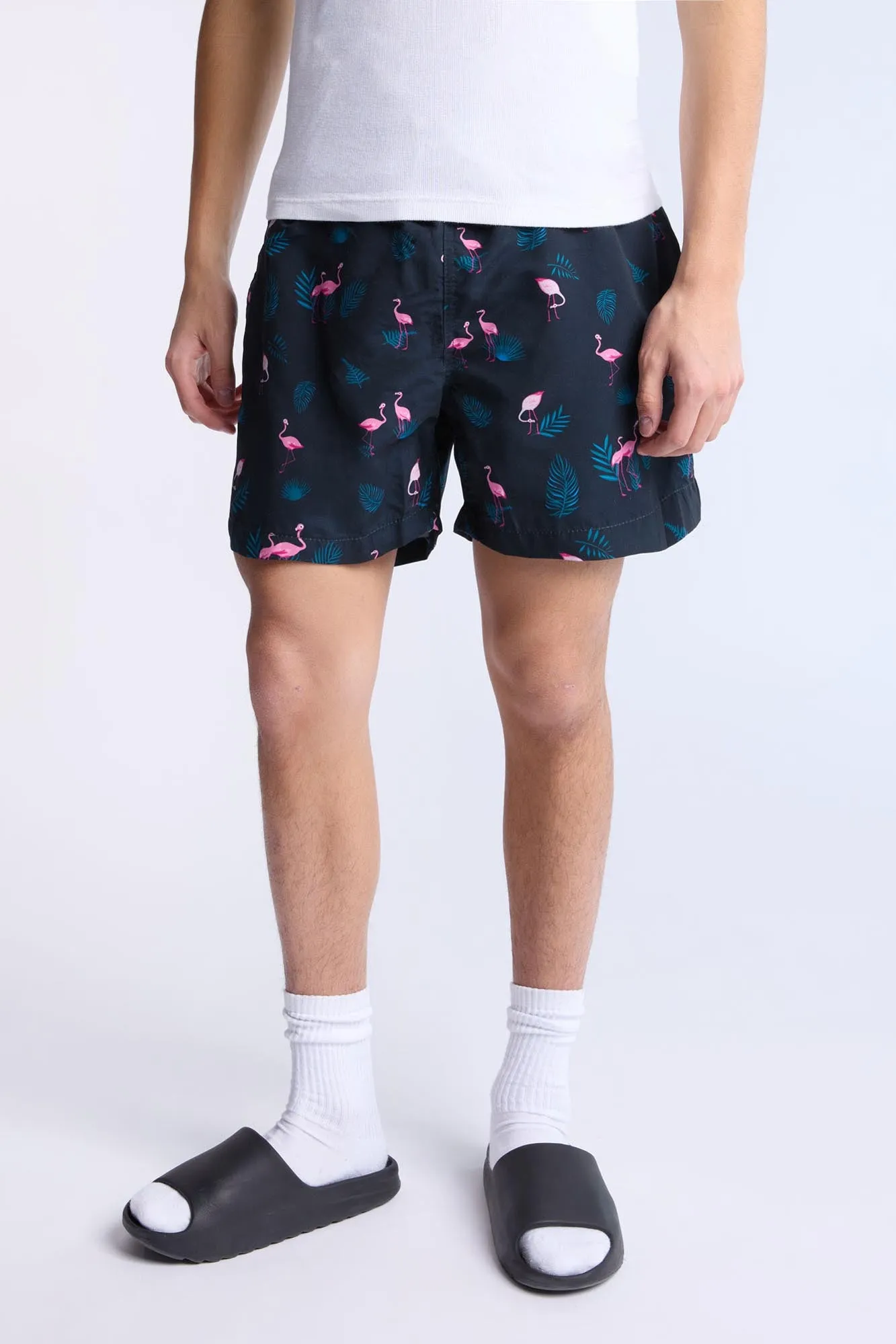 Flamingo Printed 5.5" Swim Shorts