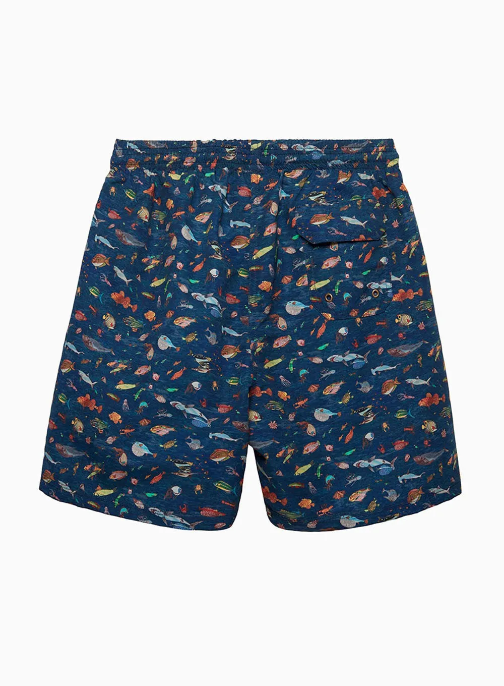 Mens Daddy & Me Swimshorts in Aquarium
