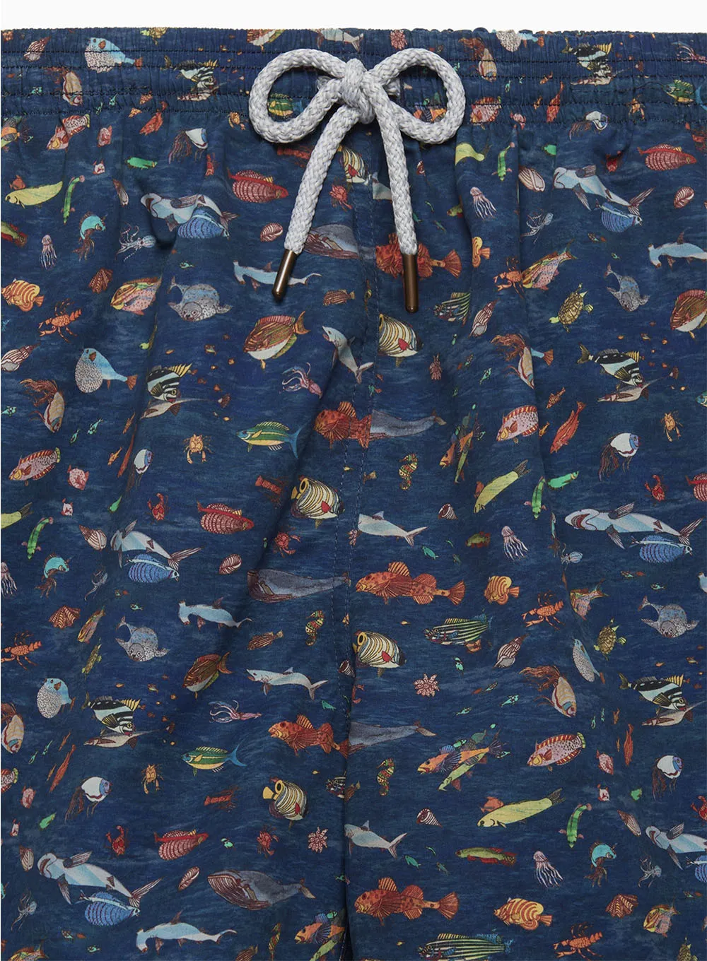 Mens Daddy & Me Swimshorts in Aquarium
