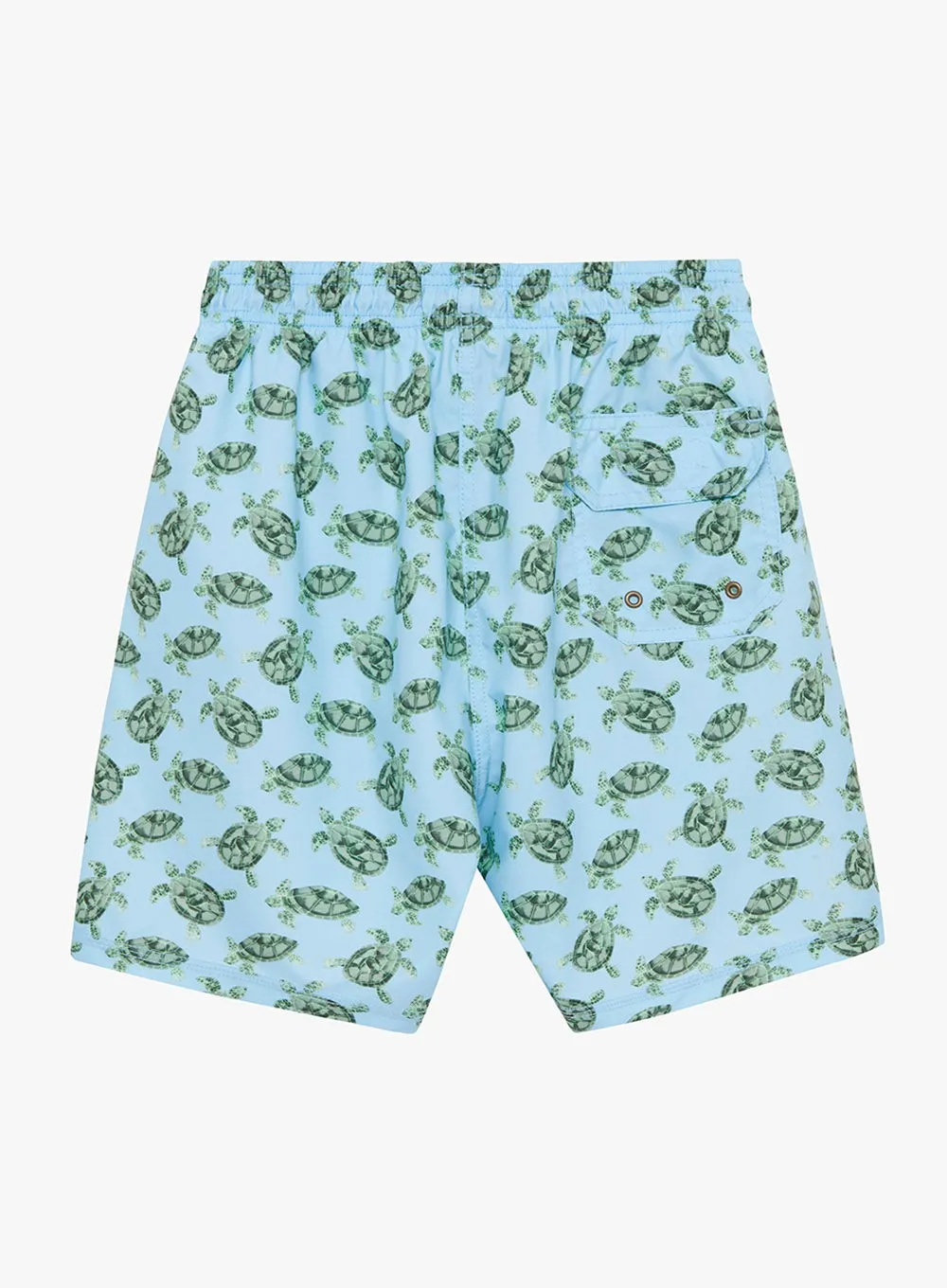Mens Daddy & Me Swimshorts in Turtle