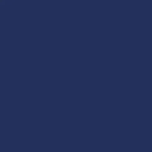Navy | Swim Trunk