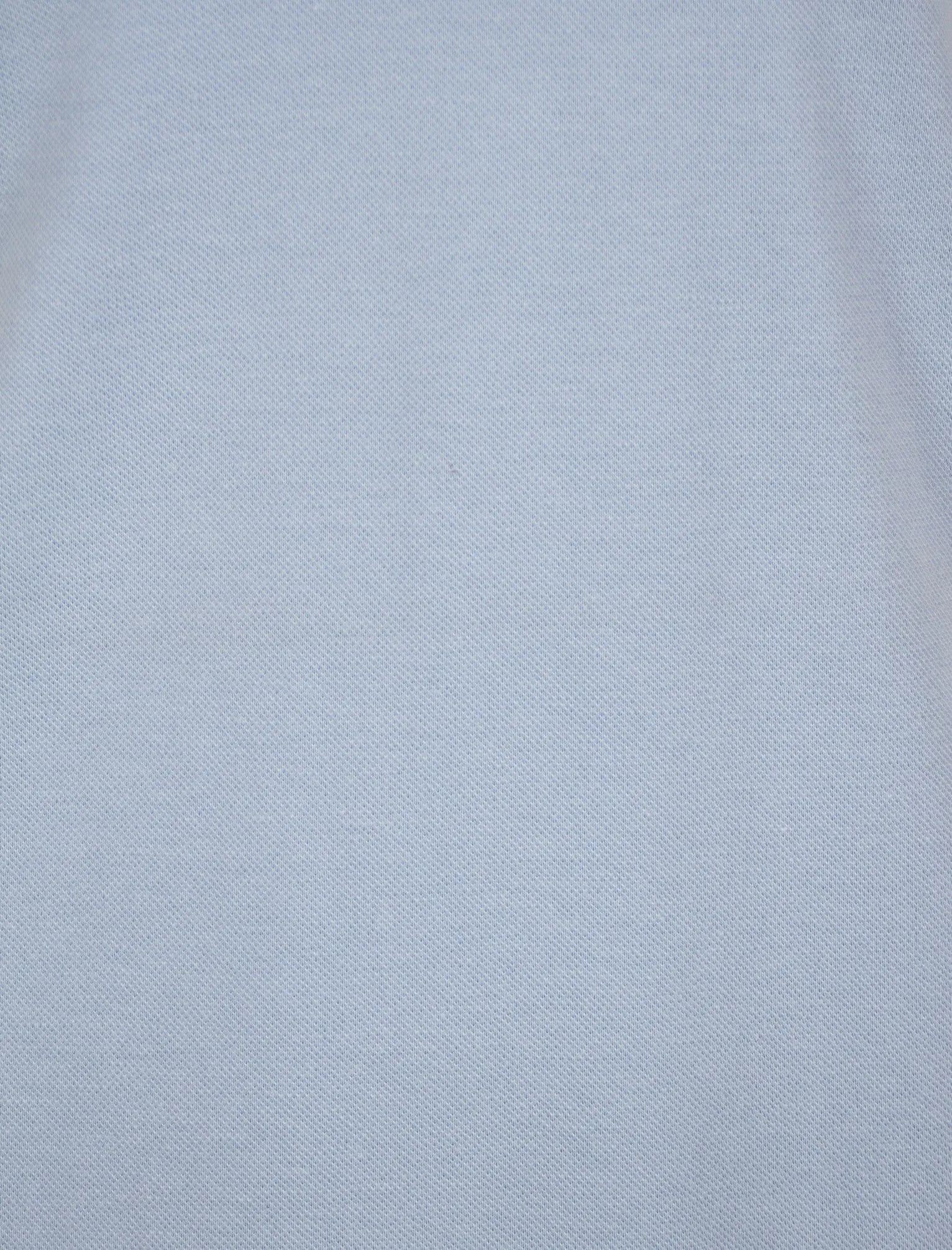 Polo Shirt in Blue - Le Shark