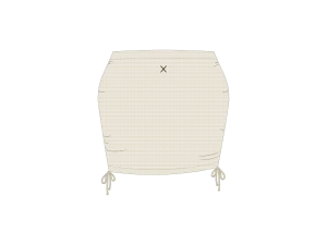 Tan Mesh Mini Skirt